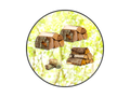 Der Topseller (3 Ster)